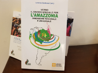 Actas del Seminario de estudio: Hacia el Sínodo Especial para la Amazonia: dimensión regional y universal. (Febrero 2019) Actas del Seminario de estudio: Hacia el Sínodo Especial para la Amazonia: dimensión regional y universal. (Febrero 2019)